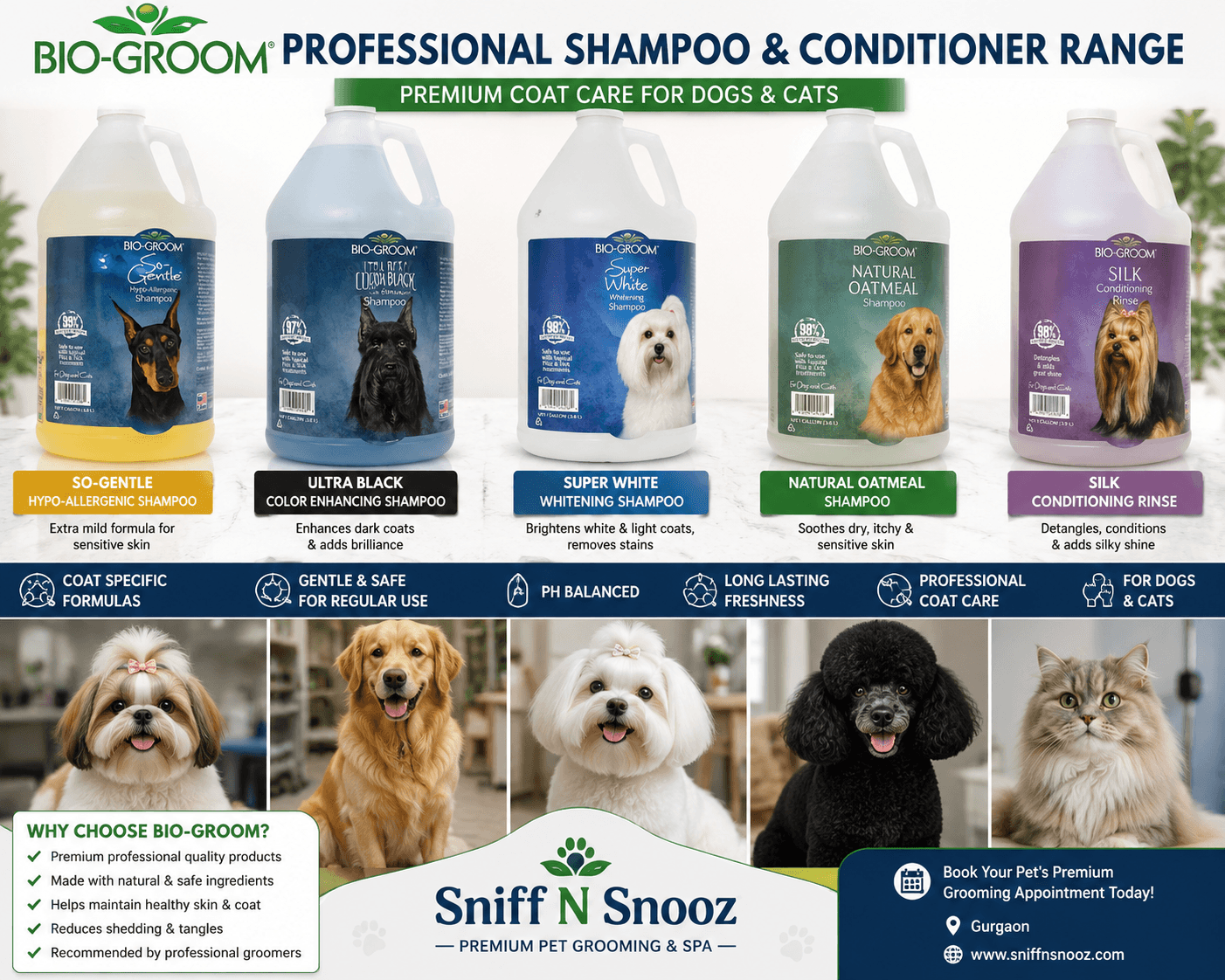 Bio-Groom Coat Specific Shampoo & Conditioning Bath | Premium Pet Spa in Gurgaon