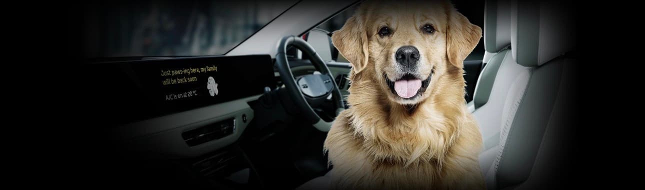 Home Pickup & Drop Grooming in New Nexon EV Air-Conditioned Cab | Safe Pet Transport in Gurgaon