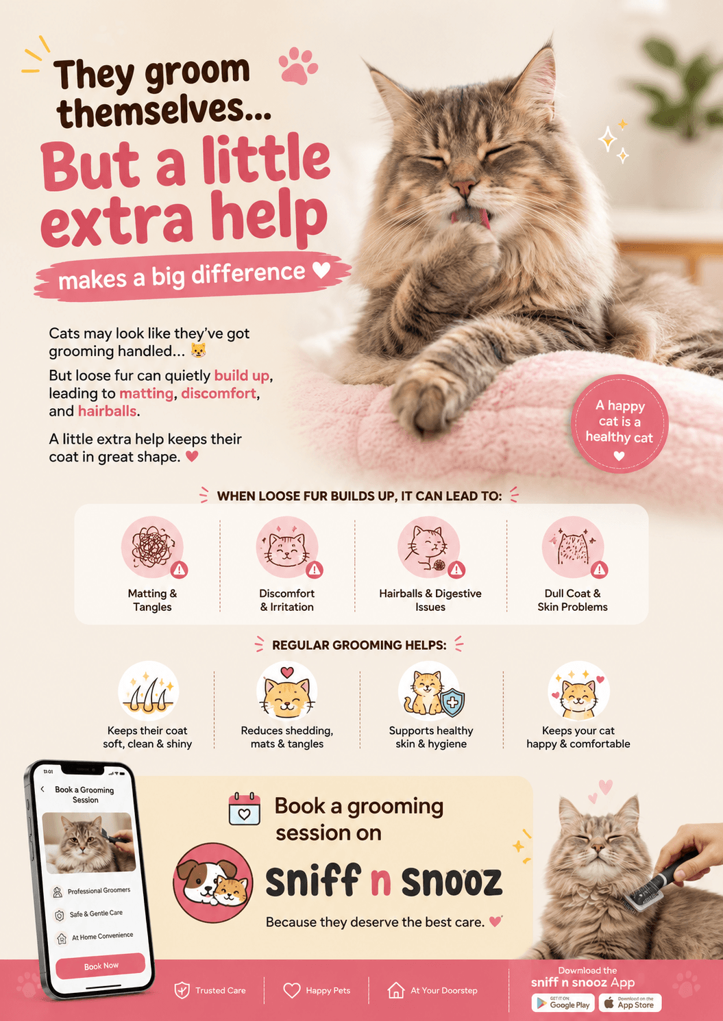 Why Cats Need Professional Grooming!!!