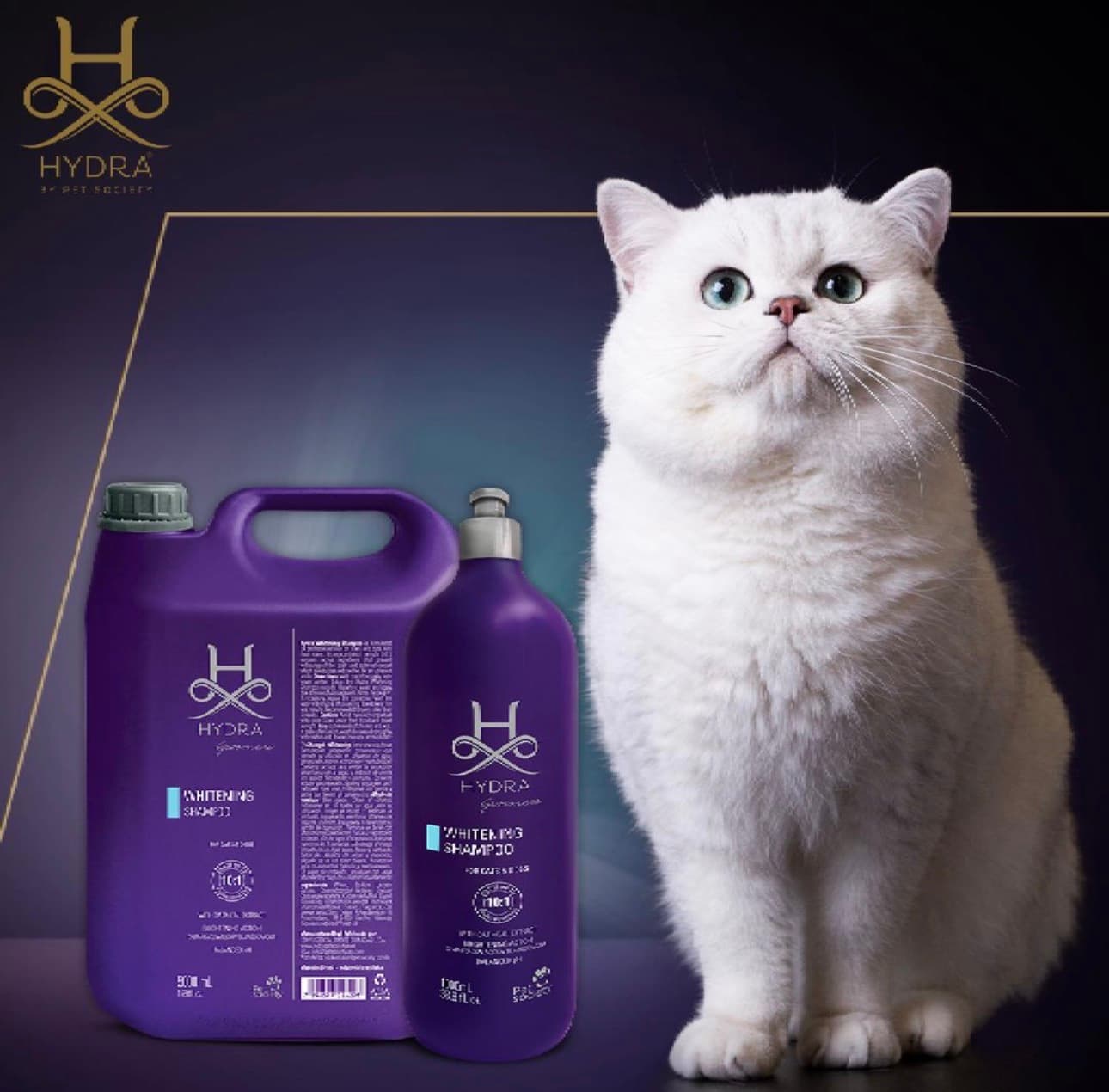 Cat Grooming Services in Gurgaon sec 65 Emerald plaza near Avenue 65 Mall
