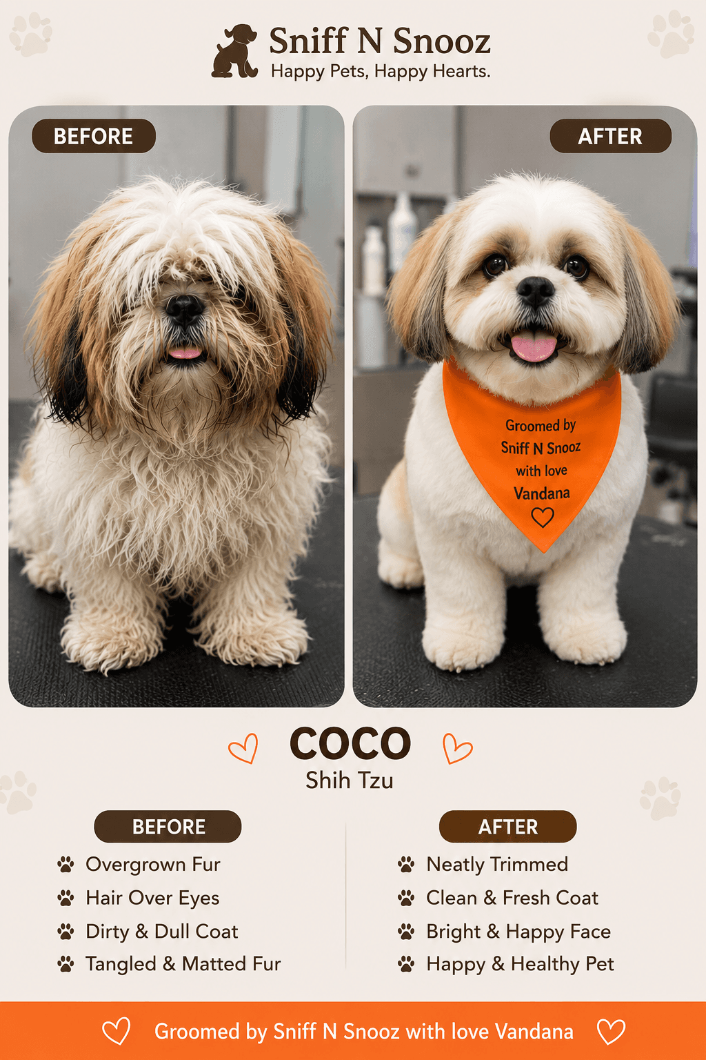 See Amazing Dog & Cat Grooming Transformations at Sniff Snooz