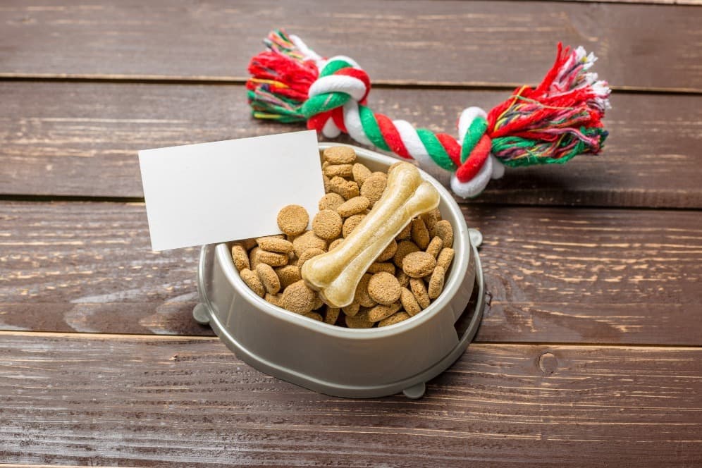 Organic Pet Products in Gurgaon, Haryana – Safe Choices for Everyday Care Home Latest news Organic Pet Products in Gurgaon, Haryana – Safe Choices for Everyday Care