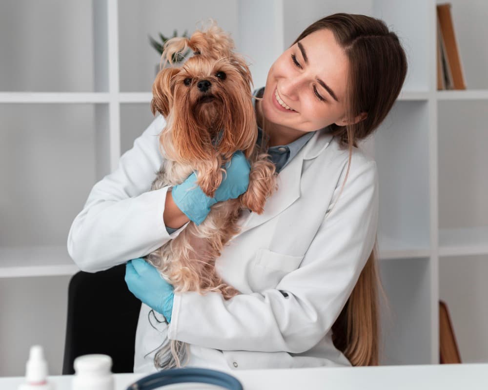 Luxury Pet Care in Gurgaon, Haryana – A Thoughtful Way to Pamper Your Pet Home Latest news Luxury Pet Care in Gurgaon, Haryana – A Thoughtful Way to Pamper Your Pet