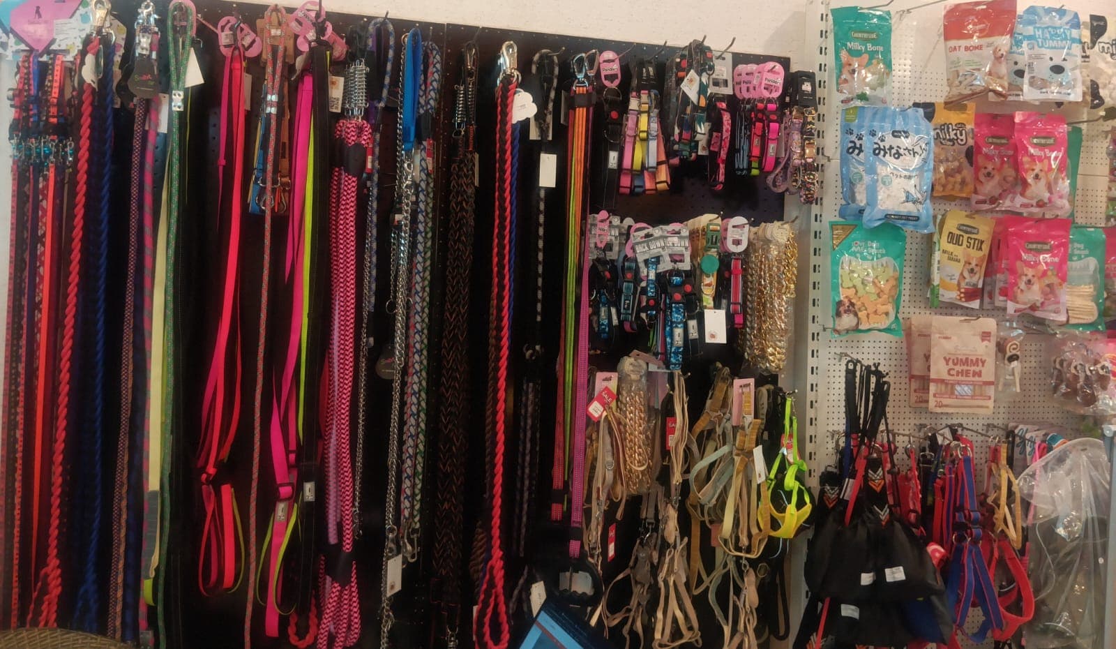 Pet Accessories in Gurgaon, Haryana – Essentials That Combine Comfort and Style