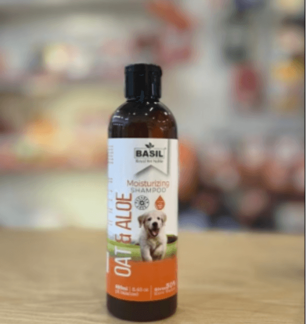 Hypoallergenic Pet Products in Gurgaon, Haryana – Safe Choices for Sensitive Pets