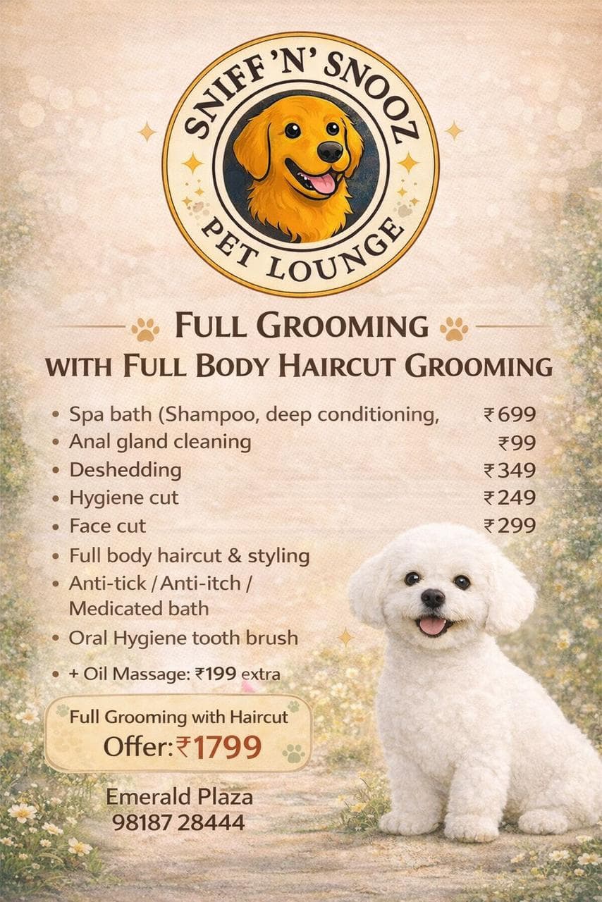 Pet Grooming Offers in Gurgaon, Haryana – Care That’s Affordable and Reliable