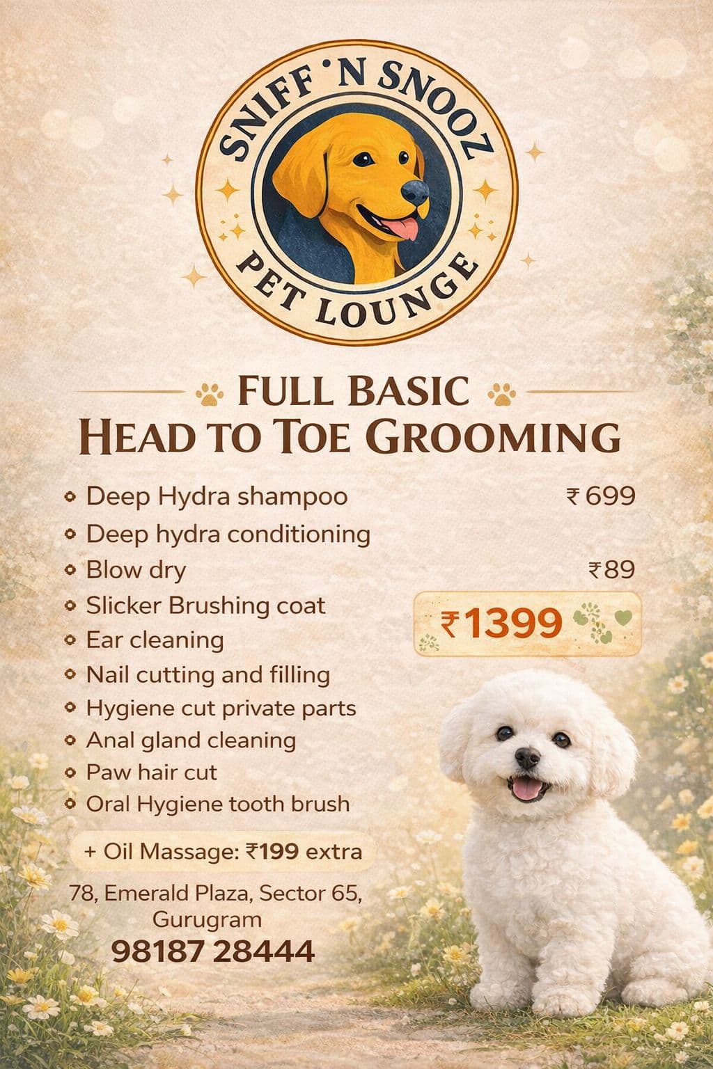 Pet Grooming Packages in Gurgaon, Haryana – Complete Care Made Simple