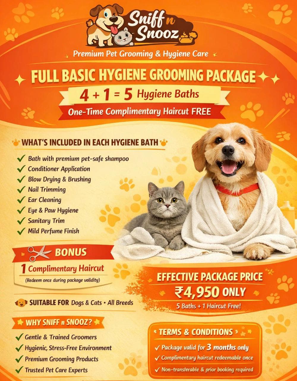 Pet Grooming Packages in Gurgaon, Haryana – Complete Care Made Simple 4+1