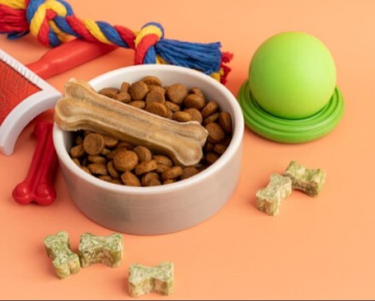 Organic Pet Products in Gurgaon, Haryana – Safe Choices for Healthy Living
