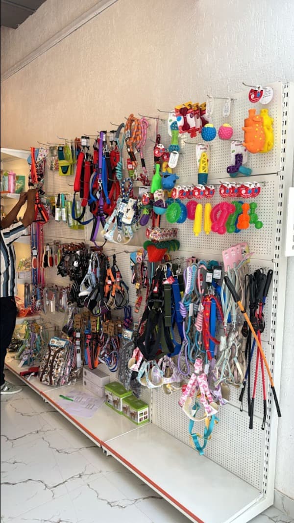 Pet Accessories In Gurgaon, Haryana – Stylish, Safe And Useful For Everyday Pet L...