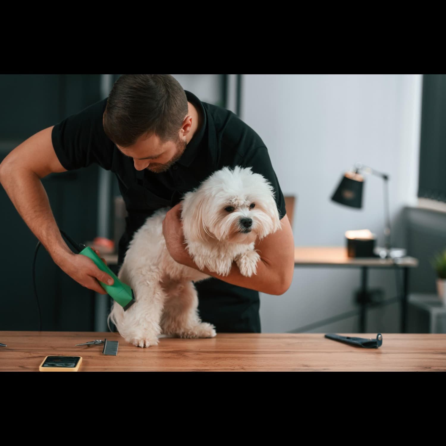 Pet Grooming Services in Gurgaon, Haryana – Truste...