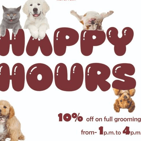 The Ultimate Guide to Luxury Pet Grooming in Secto...