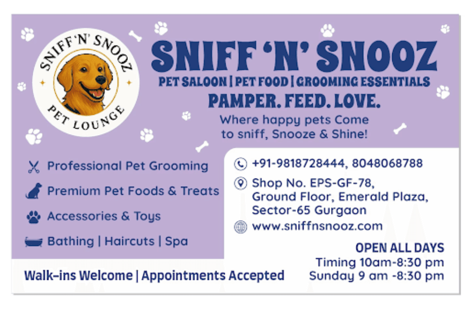 Best Pet Salon Near Me In Gurgaon, Haryana – Comfort, Care, And Cleanlin...