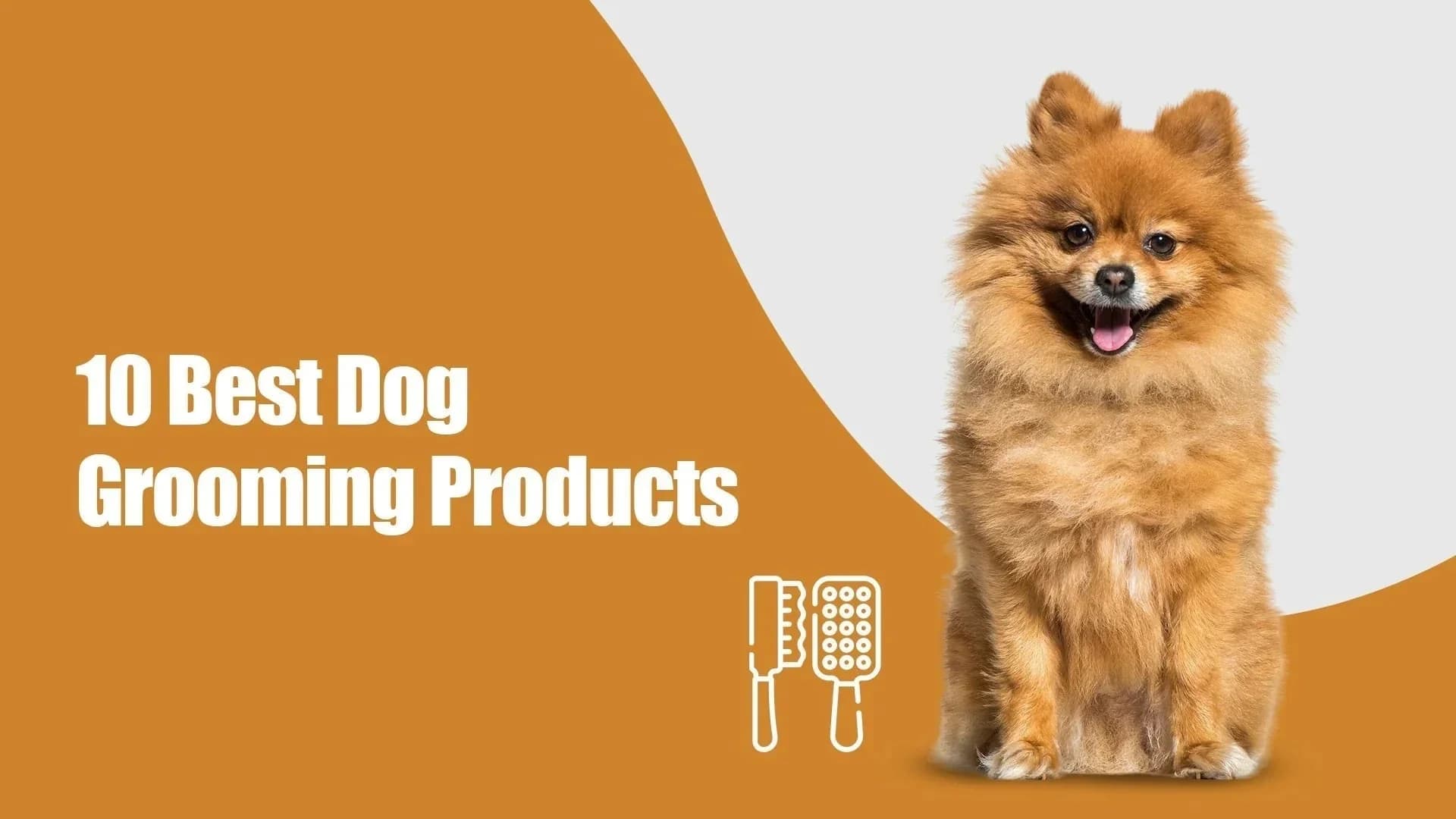 Top 10 Dog Grooming Products Every Pet Parent Must Have (2026 Edition)
