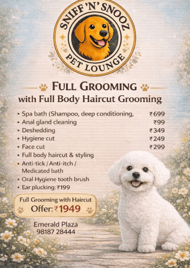 Pet Grooming Packages in Gurgaon, Haryana – Consistent Care Without the Guesswork