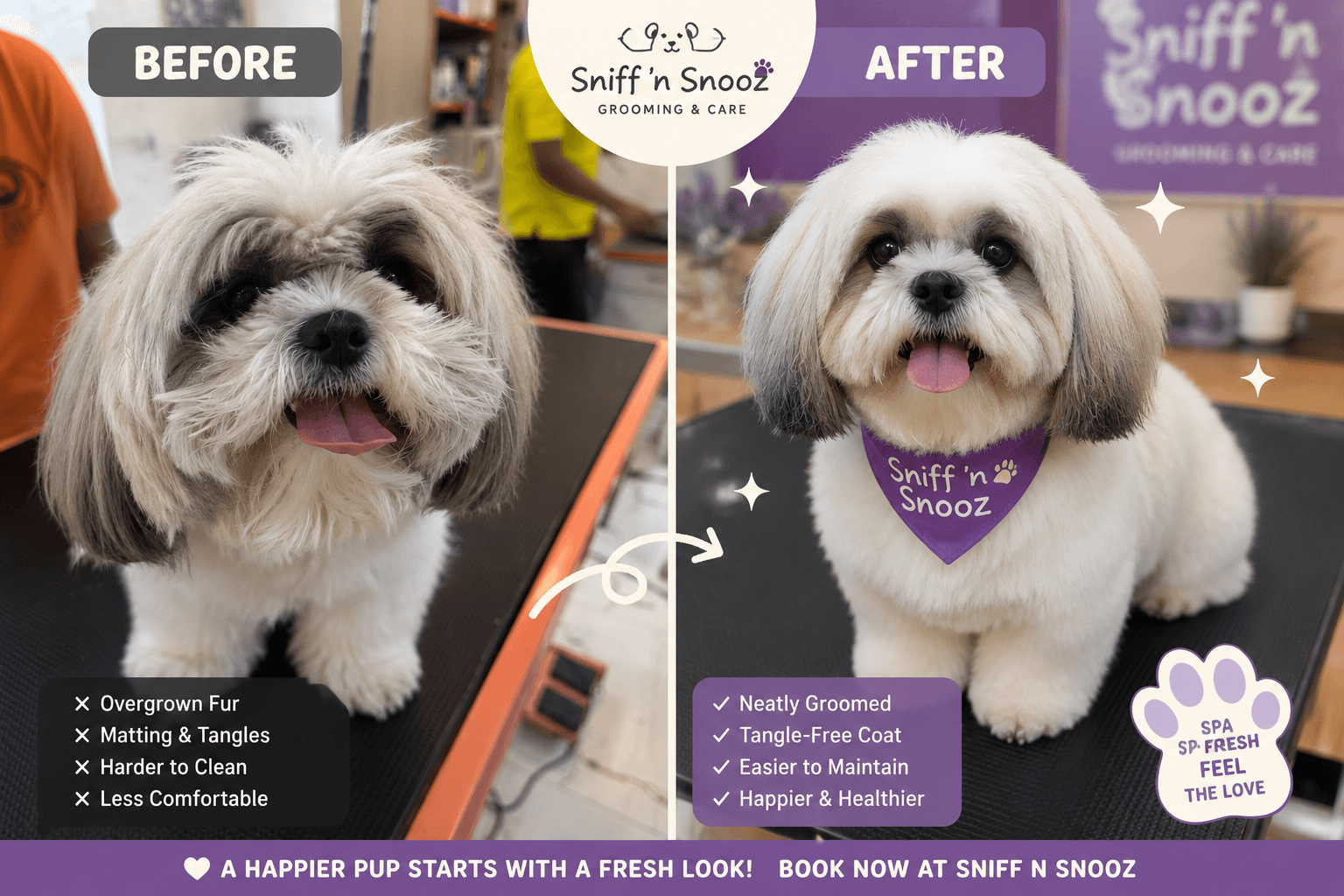 Shih Tzu Grooming Transformation – See the Amazing Before & After Results