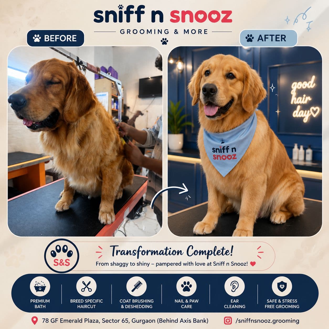* Golden Retriever De-shedding Transformation
