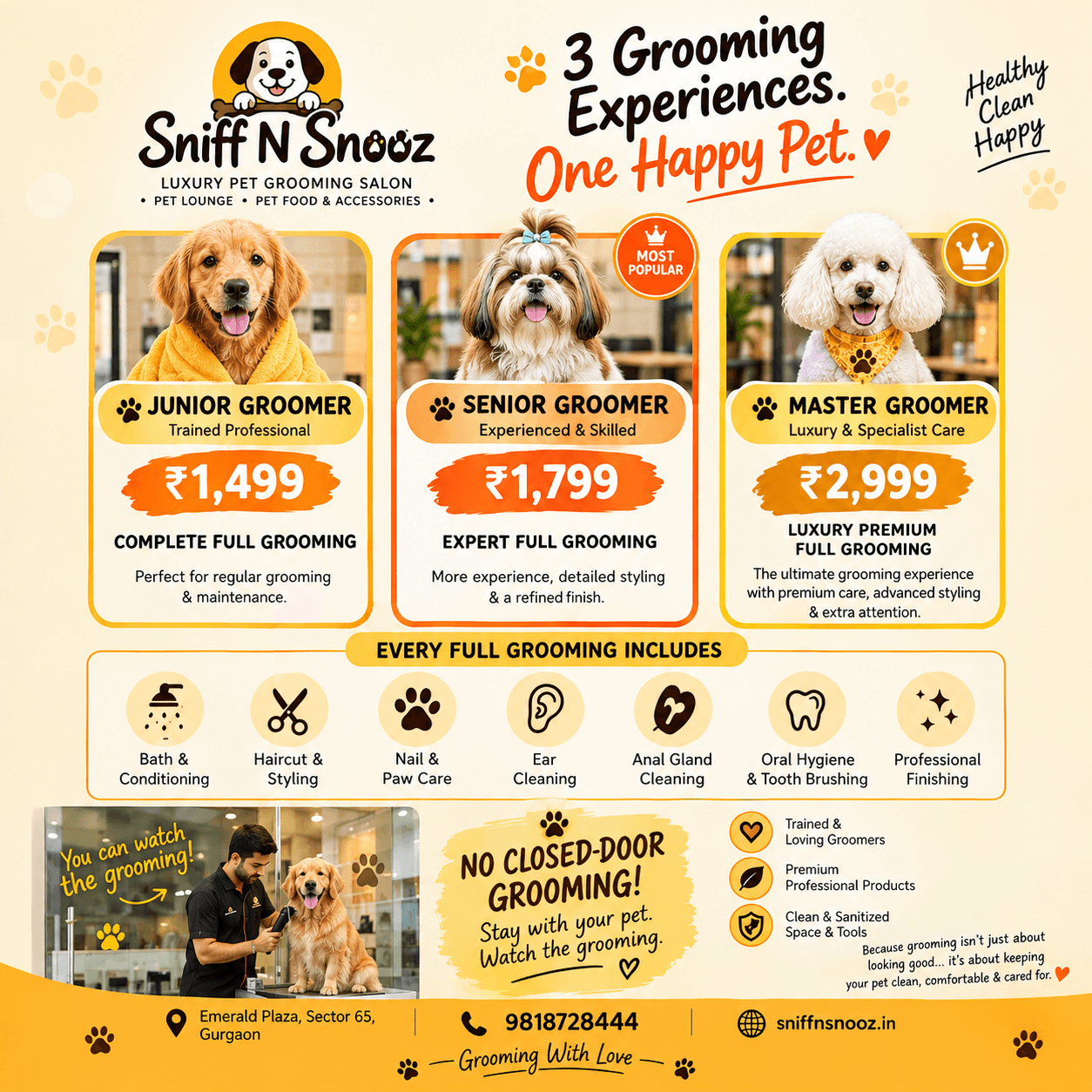 “Why Regular Pet Grooming Matters”