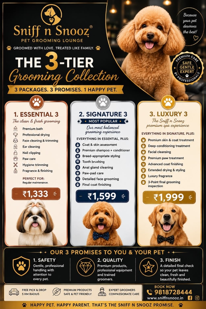 The 3-Tier Grooming Collection
